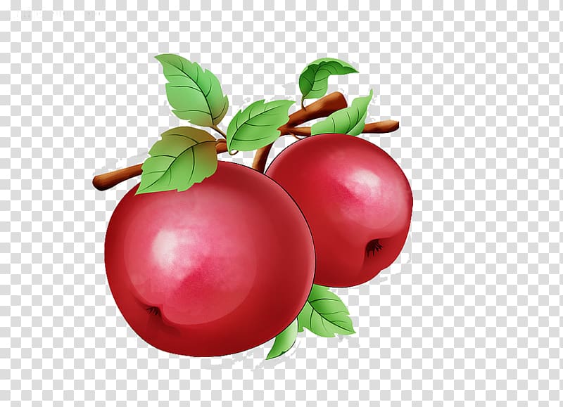 Barbados Cherry Apple Auglis, Painted red apple material transparent background PNG clipart