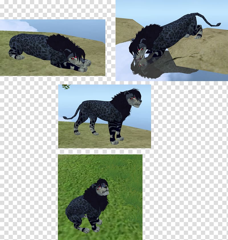 Dog breed Portuguese Water Dog Spanish Water Dog Sporting Group, narwal transparent background PNG clipart