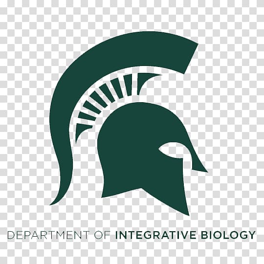 Eli Broad College of Business University Michigan State Spartans Sparty Higher education, student transparent background PNG clipart