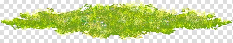 Moss, Green grass transparent background PNG clipart