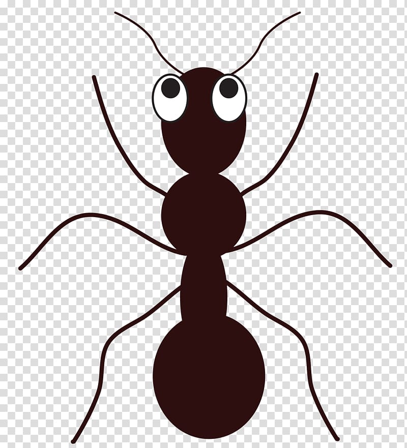 Ant Free content , Dead Ants transparent background PNG clipart
