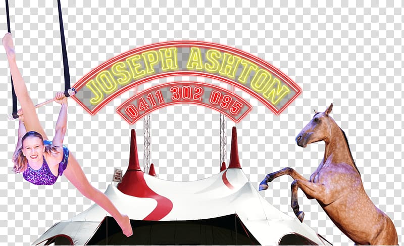 Circus Joseph Ashton Actor Clown Horse, carnival theme transparent background PNG clipart