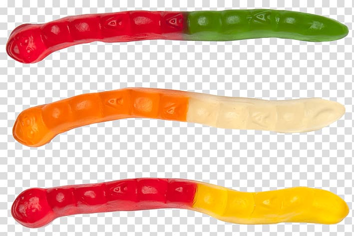 Gummi candy Gummy bear Gelatin dessert Hamburger Worm, gummy worms transparent background PNG clipart