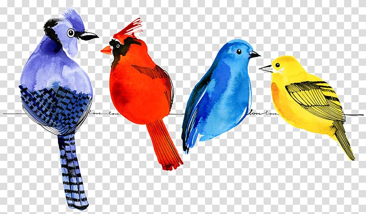 Bird Watercolor painting Parrot Drawing Cartoon, Bird transparent background PNG clipart