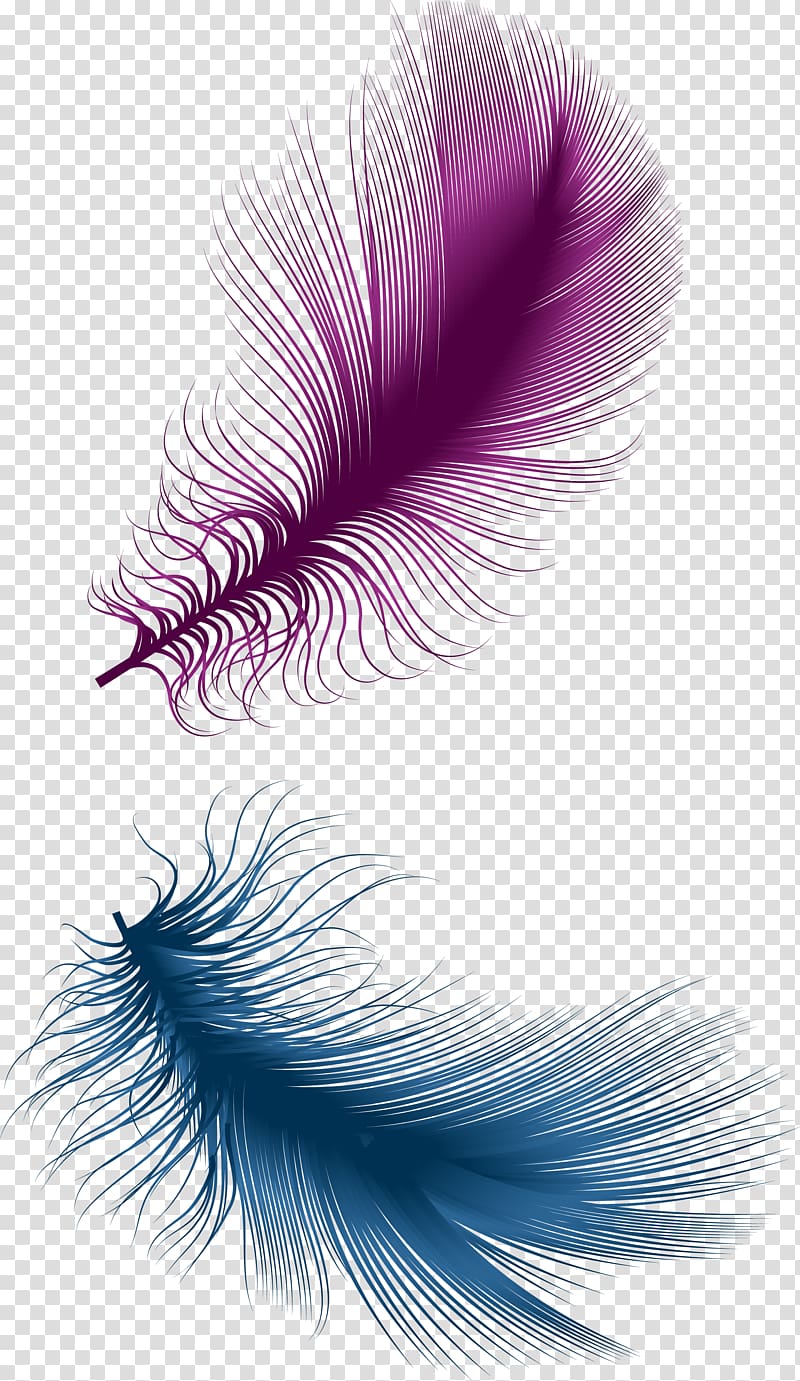 blue and pink feather art, Feather Purple, feather transparent background PNG clipart