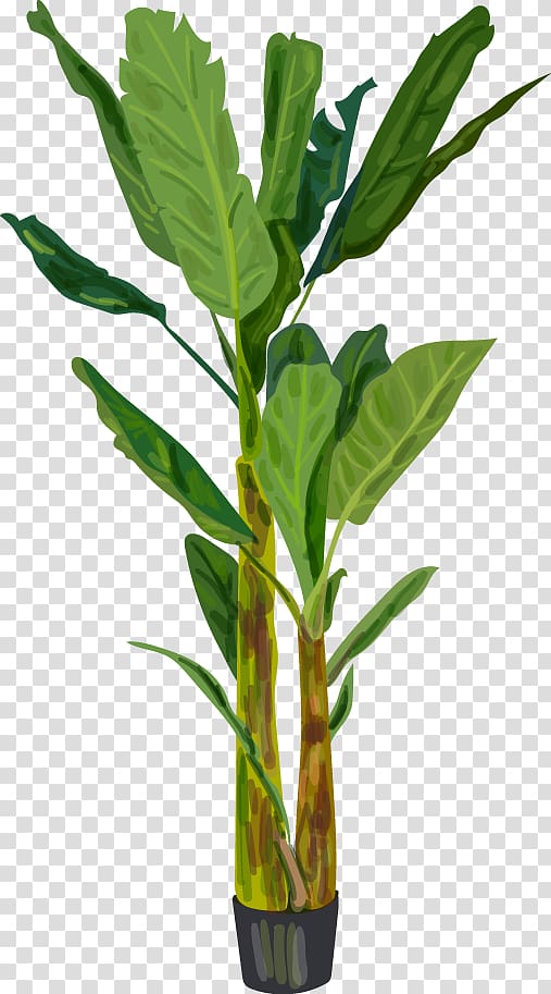 Banana leaf , Green decorative elements transparent background PNG clipart