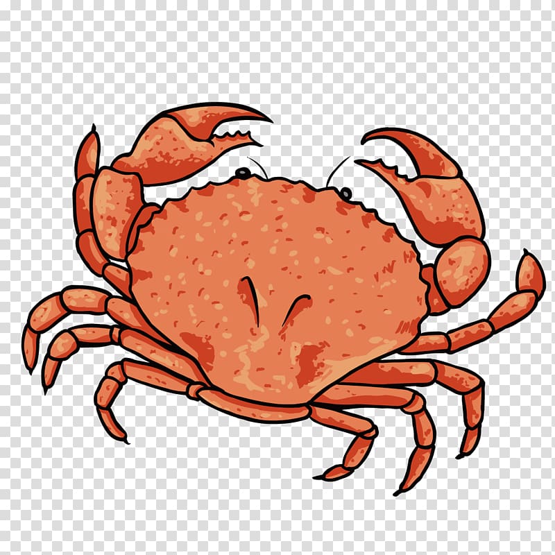 Dungeness crab Lobster , Cartoon crab transparent background PNG clipart