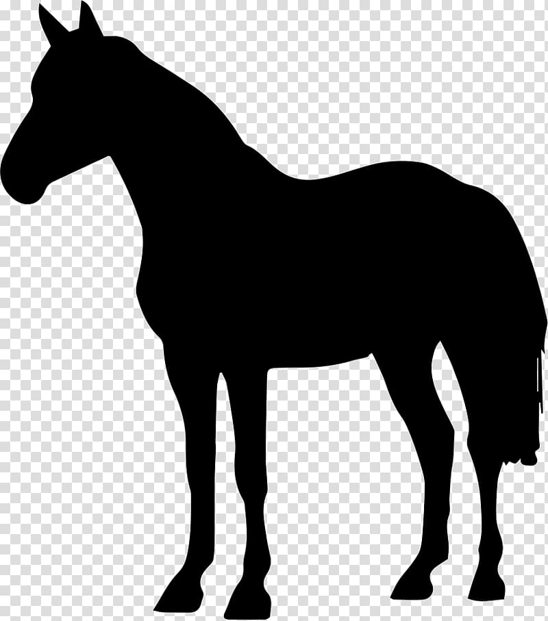 Arabian horse Black Forest Horse Friesian horse Silhouette , Silhouette transparent background PNG clipart