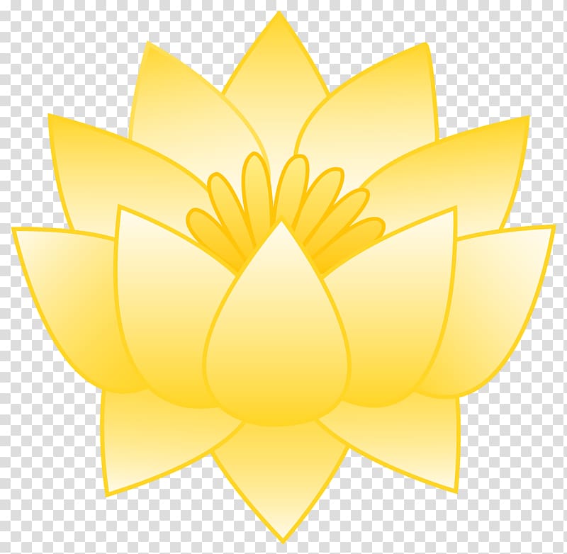 Nelumbo nucifera Nelumbo lutea Flower Yellow, lotus transparent background PNG clipart