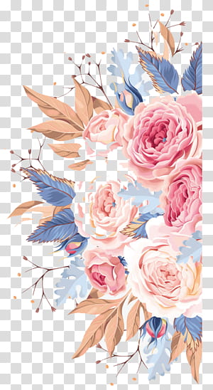 Multicolor Flowers PNG Transparent Images Free Download