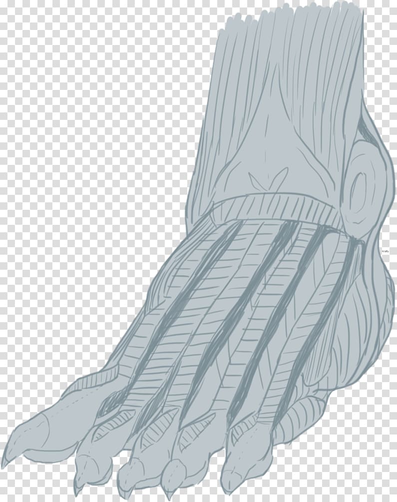 Finger Evening glove Shoe Product design, prosthesis transparent background PNG clipart