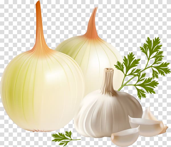 Garlic Onion Vegetable, Onion Garlic material transparent background PNG clipart
