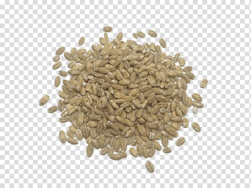Cereal Breakfast Quinoa Barley Food grain, breakfast transparent background PNG clipart