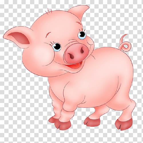 Pig , pig transparent background PNG clipart