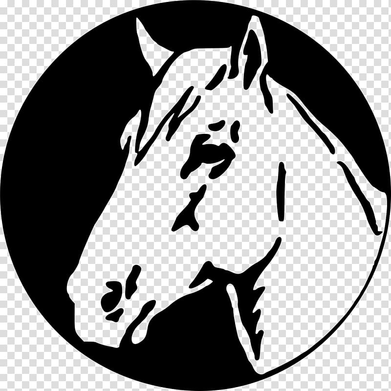 Horse Pony Borders and Frames , unicorn head transparent background PNG clipart