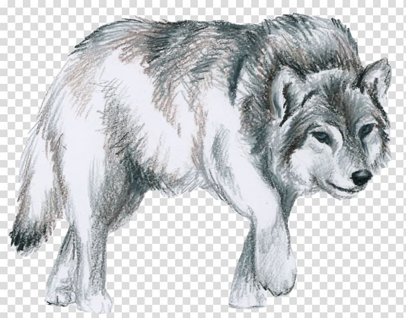 Saarloos wolfdog Native American Indian Dog Canidae Alaskan tundra wolf, shepherd transparent background PNG clipart