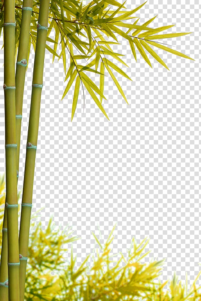 Bamboo Bamboe, Green simple bamboo decoration pattern transparent background PNG clipart