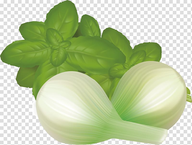 Leaf vegetable Mint, Green leaves and onion material transparent background PNG clipart
