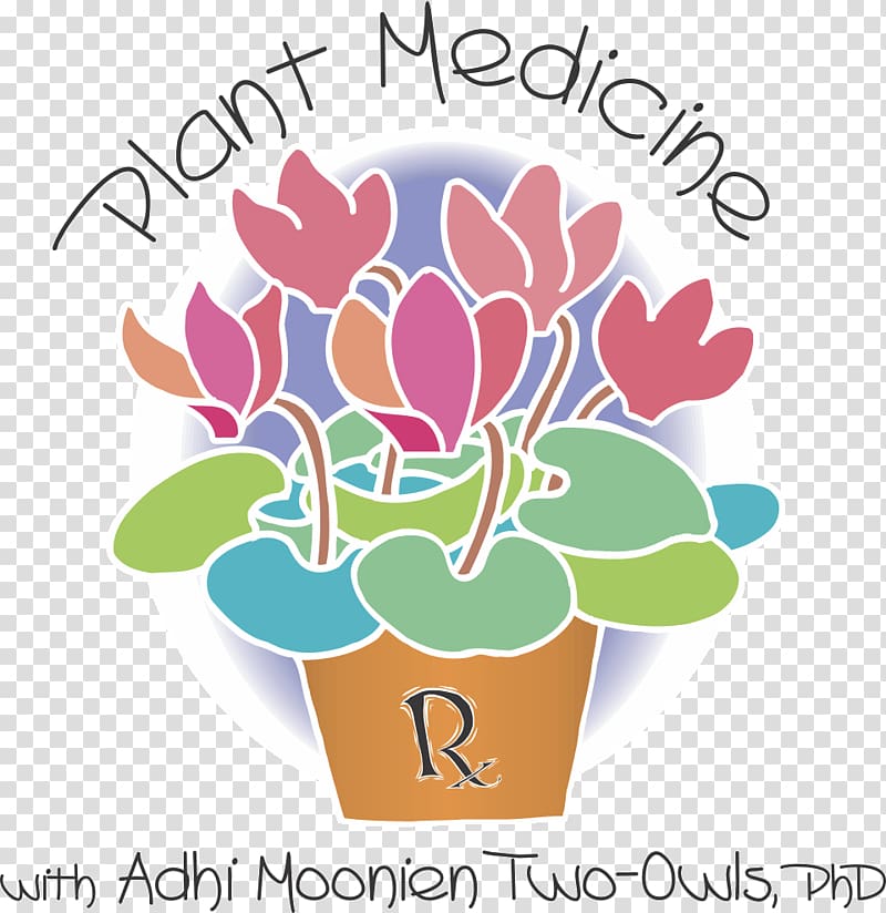 Cut flowers Floral design Logo, plantain herb benefits transparent background PNG clipart