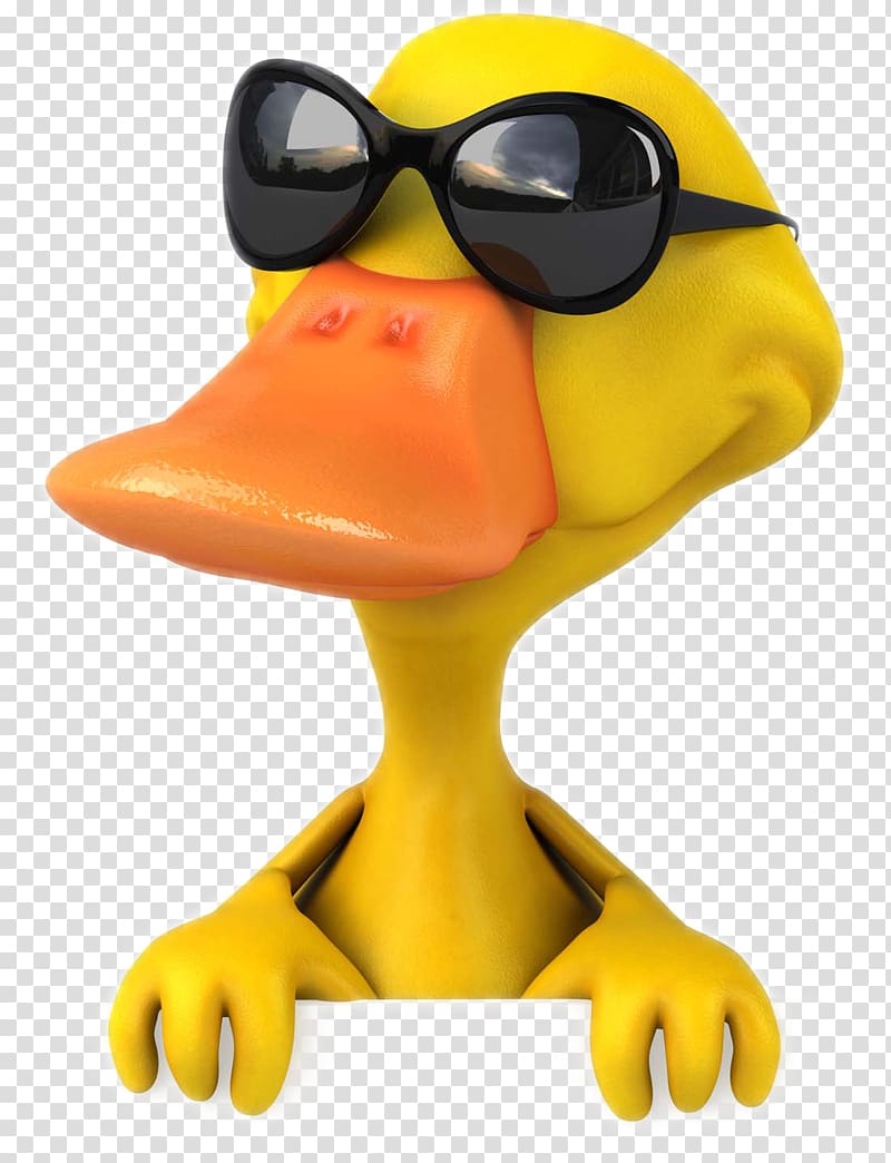 American Pekin Duck Mallard , Cartoon duck transparent background PNG clipart
