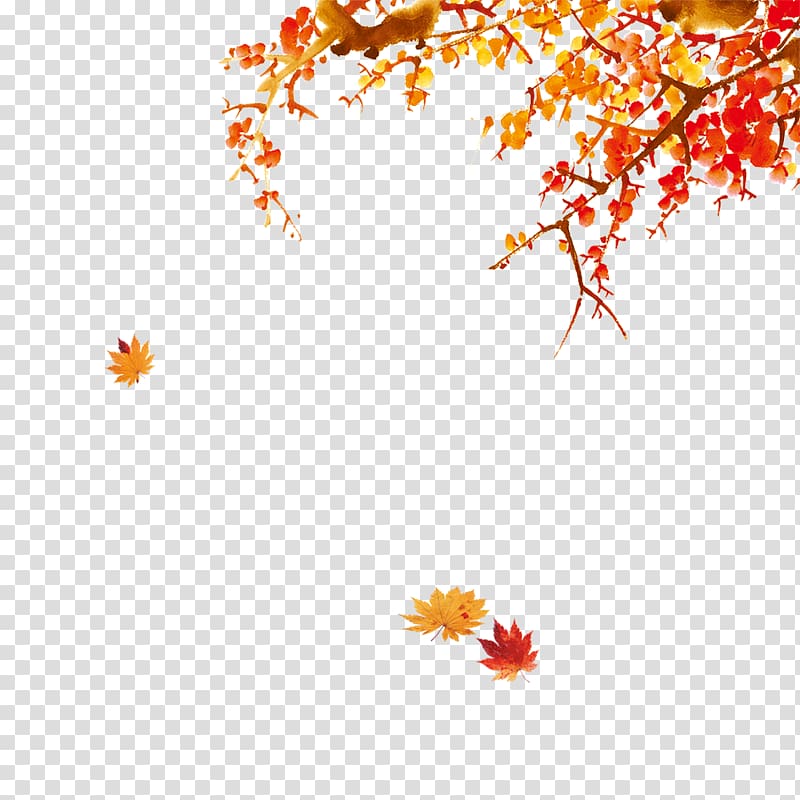 Chinese New Year Bainian, Autumn leaves are beautiful transparent background PNG clipart