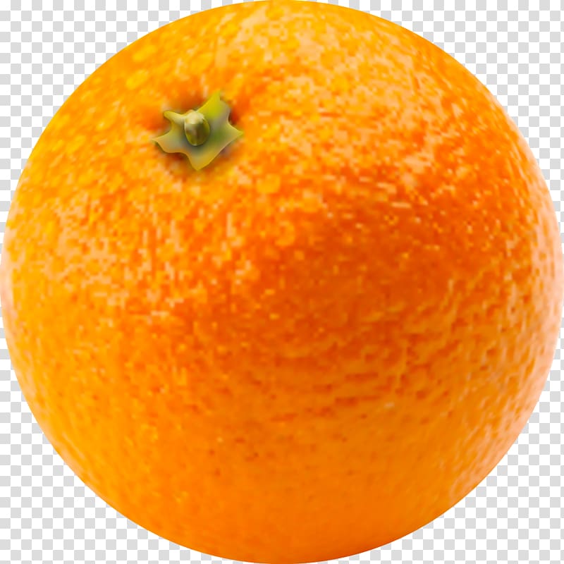 Clementine Blood orange Tangerine Mandarin orange Bitter orange, Orange transparent background PNG clipart