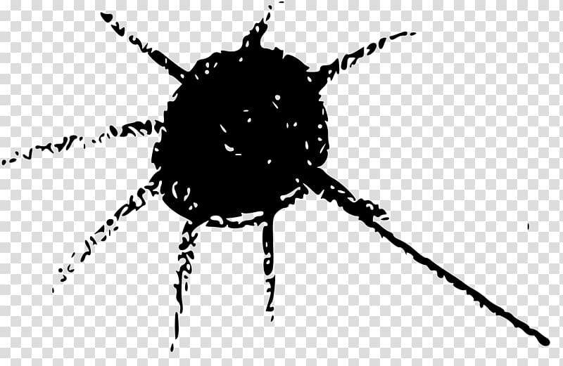 Beetle Line Pest White Font, spider web transparent background PNG clipart