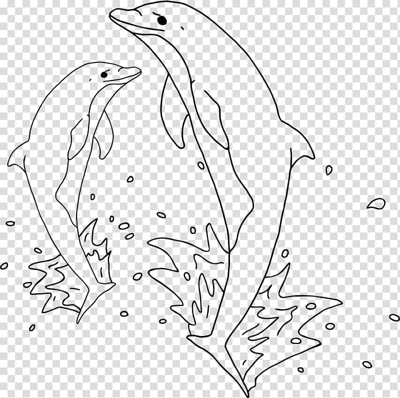 Dolphin Drawing Jumping , jumping dolphin transparent background PNG clipart