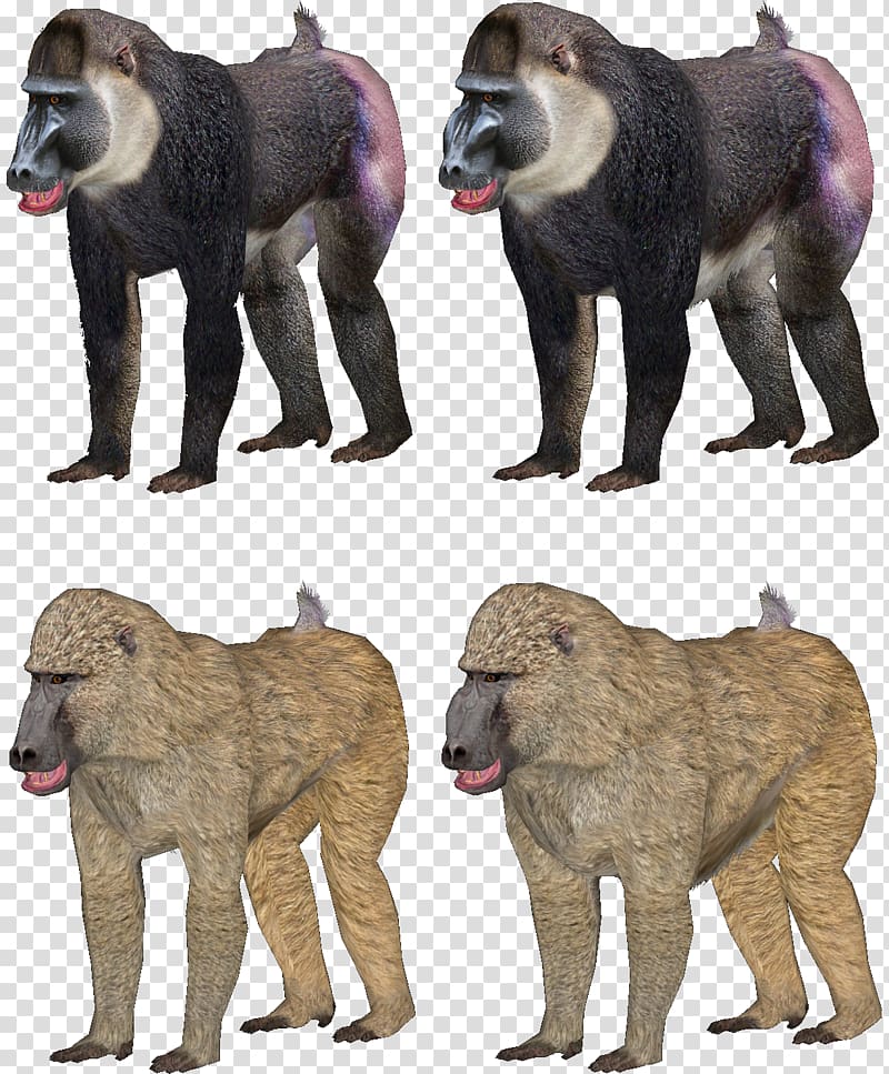 Baboons Mandrill Zoo Tycoon 2 Dog, Dog transparent background PNG clipart