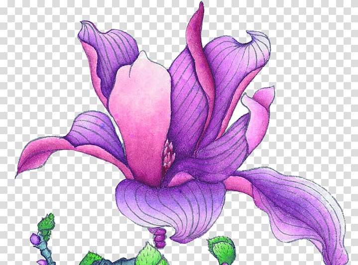 Violet Euclidean Flower, Purple flower China Wind antiquity transparent background PNG clipart
