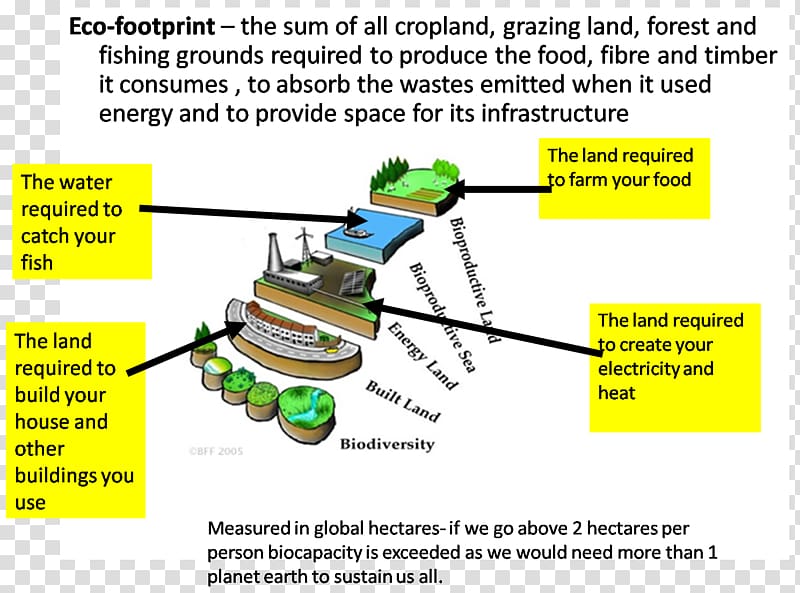 Ecological footprint Biocapacity Ecology Ecological economics Carrying capacity, Ecological Footprint transparent background PNG clipart