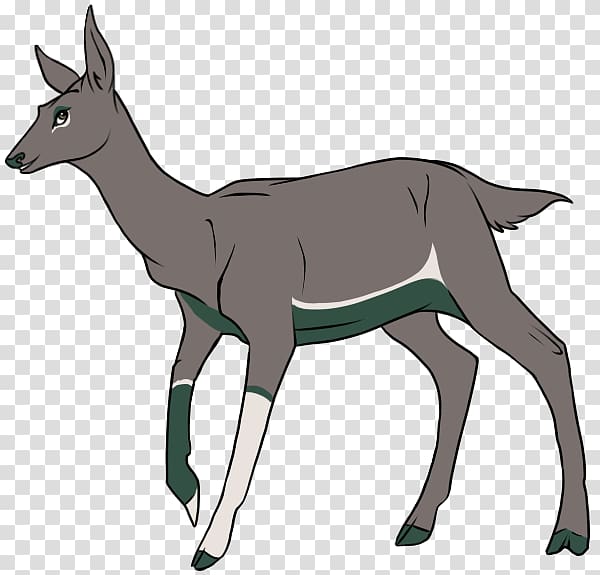 Antelope Goat Reindeer Elk, goat transparent background PNG clipart