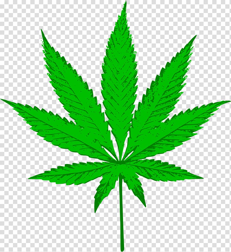 Cannabis sativa Medical cannabis , Cannabis transparent background PNG ...