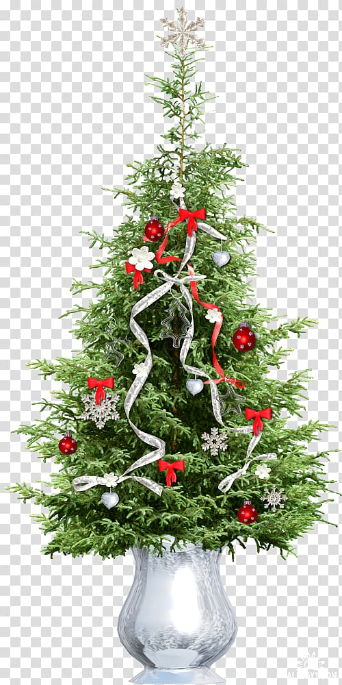 Spruce Pine Christmas tree Cedar, tree transparent background PNG clipart