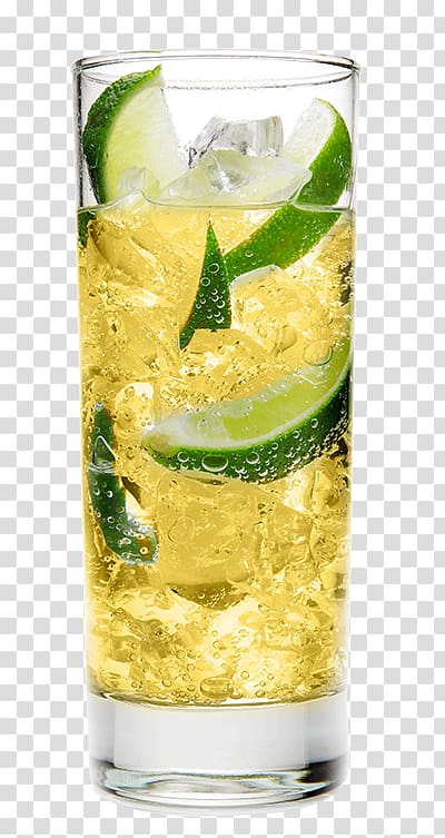 Rickey Highball Mojito Lemonade Vodka tonic, mojito transparent background PNG clipart