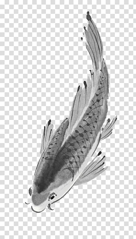 Koi Ink wash painting , Ink fish transparent background PNG clipart