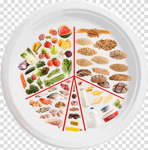 Vegetarian cuisine Diet Gastroesophageal reflux disease Eatwell plate Food, Eat Well transparent background PNG clipart