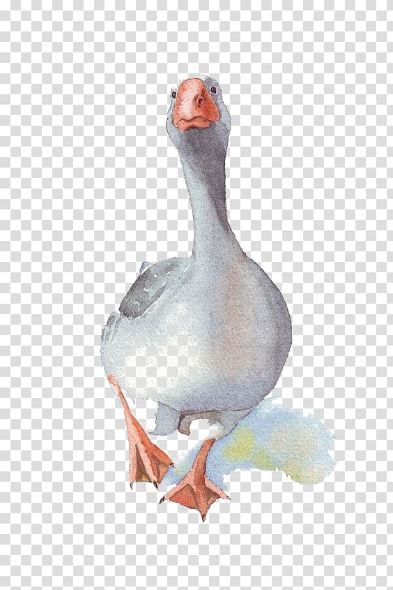 grey duck illustration, Domestic goose Watercolor painting Paper, Watercolor Big Goose transparent background PNG clipart