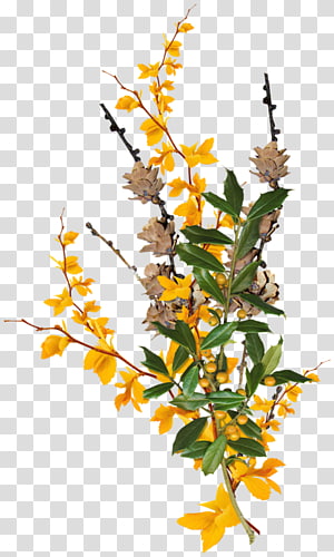 Leaf Flower , others transparent background PNG clipart thumbnail