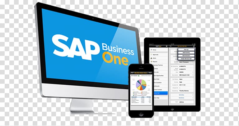 SAP Business One Enterprise resource planning SAP SE Management, Business transparent background PNG clipart