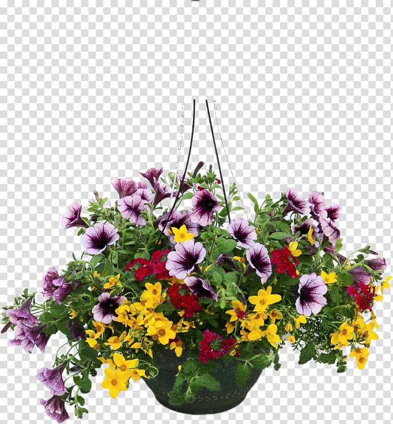 Floral design Annual plant Flower Tidy Towns Floristry, flower pot transparent background PNG clipart