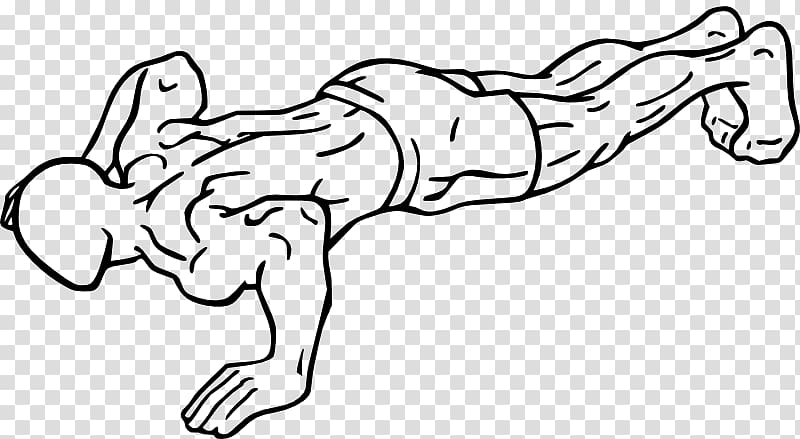 Bodyweight exercise Push-up Fitness Centre Health, plank fitness transparent background PNG clipart