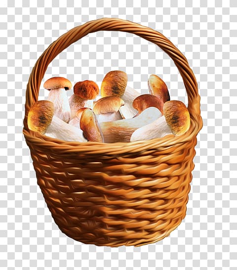 Mushroom Basket Fungus , mushroom transparent background PNG clipart