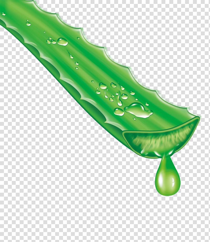 Herbal Aloe vera Aloin Extract Gel, Aloe transparent background PNG clipart