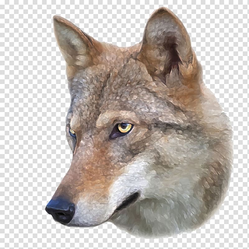 Dog Eurasian wolf Arctic wolf Drawing , Brown wolf head transparent background PNG clipart