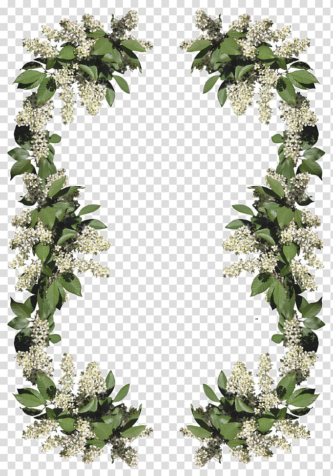 frame , Plant garland border transparent background PNG clipart