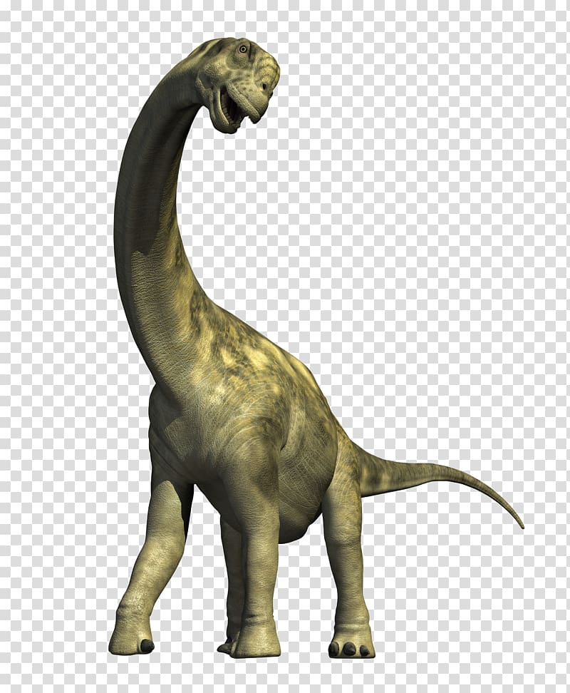 grey dinosaur, Camarasaurus Apatosaurus Diplodocus Dinosaur Compsognathus, Dinosaur transparent background PNG clipart