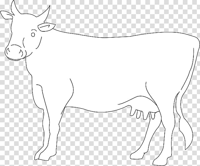 Dairy cattle Ox Drawing , cow transparent background PNG clipart