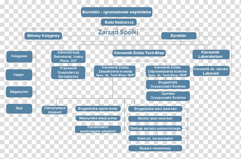 Organizational structure Business Legal name Private limited company, Business transparent background PNG clipart