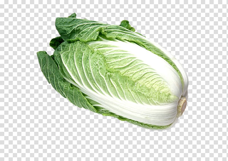 Hot pot Choy sum Napa cabbage Chinese cabbage Vegetable, Chinese cabbage transparent background PNG clipart
